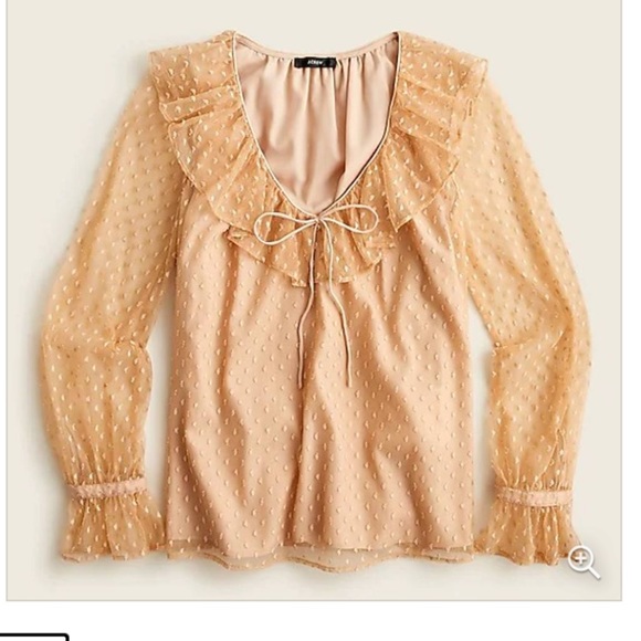J. Crew Tops - J Crew Nude Blush Tulle Swiss Dot Ruffle Tie feminine Sheer Sleeve Blouse M